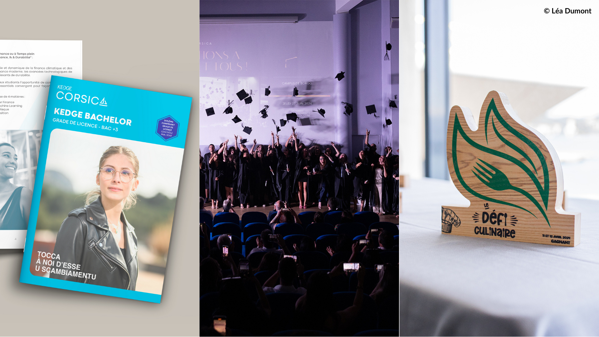 CCI de Corse | Kedge Corsica